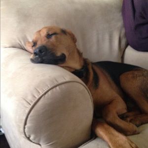 Meet your Posher, Christine